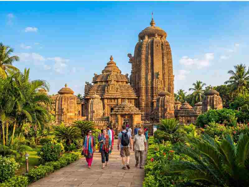 Dolphins & Temples – Odisha Short Escape