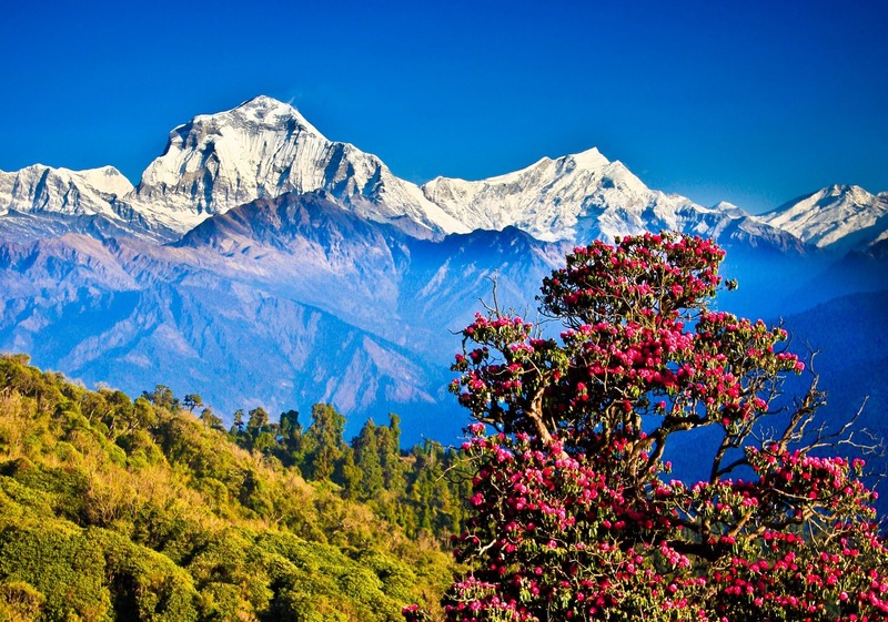 Experience Nepal s Wonders in a Single Frame