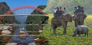 Explore the Wonders of Northeast India