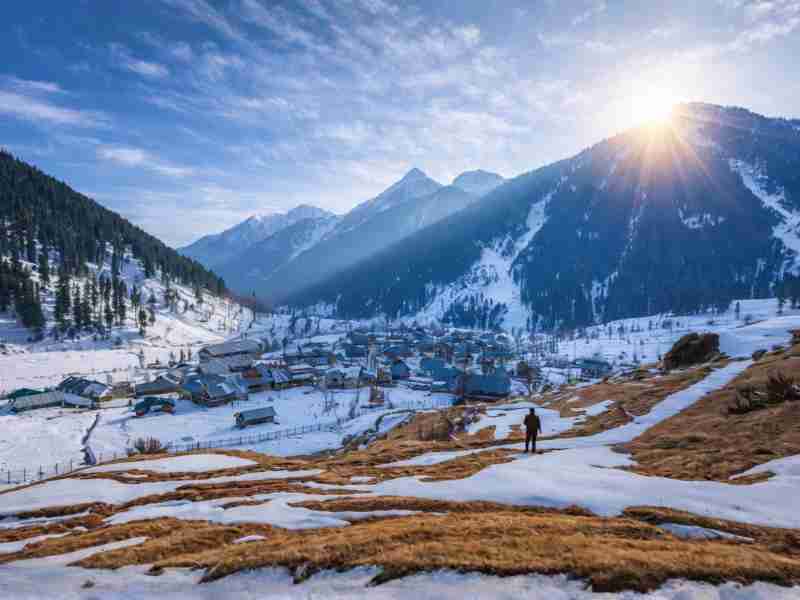 Kashmir Tulip Special Package (26 March)