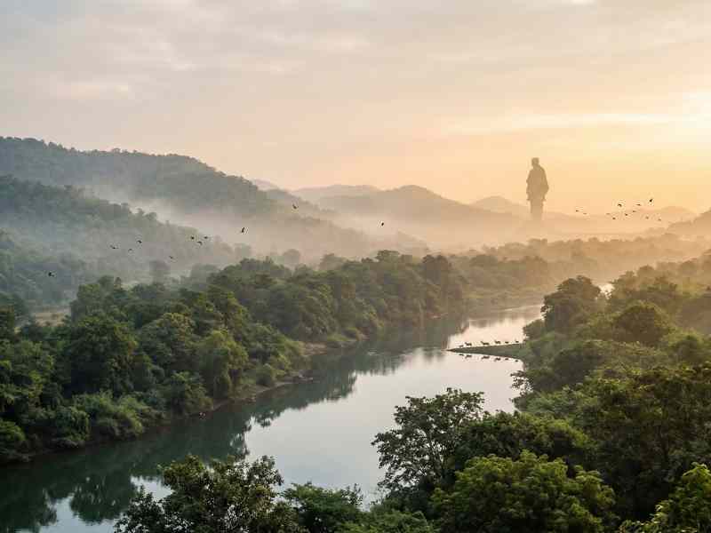 Nature & Wildlife Experience of Gujarat