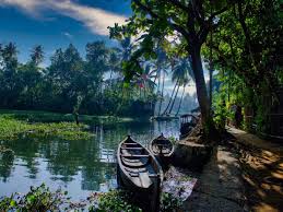 Kerala Bliss: Backwaters...