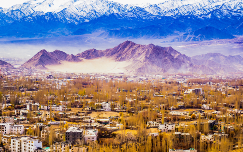 Majestic Leh