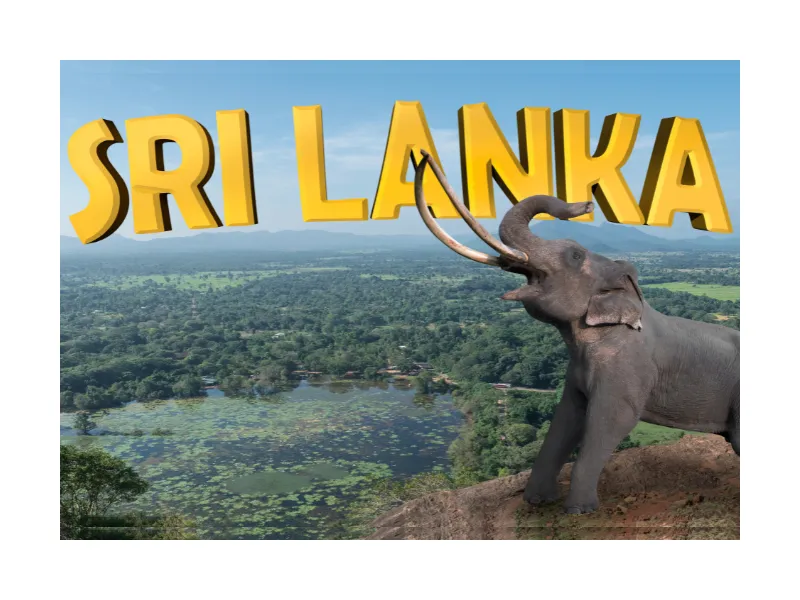CHARMING SRI LANKA