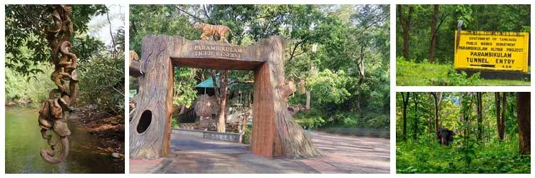 PARAMBIKULAM