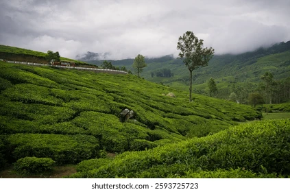 Exotic Kerala Tour