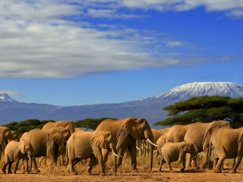 Adventurous Kenya