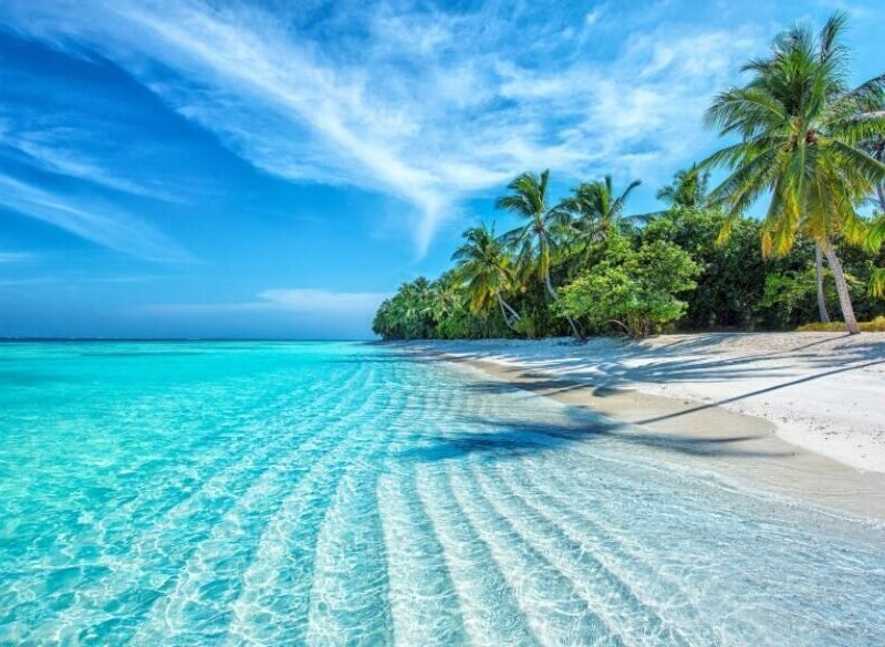 Exotic Maldives