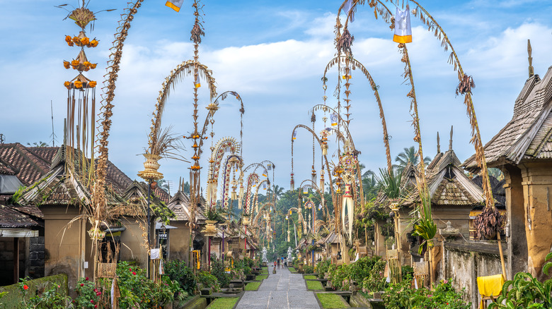 Bali Explorer: Beaches, Safari & Ubud Retreat