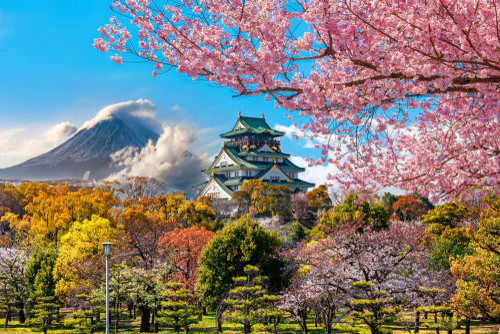 Japan Explorer Pro