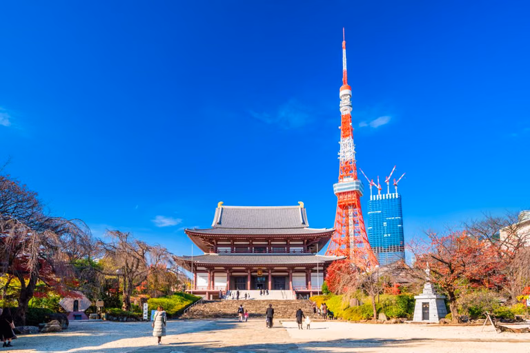 Japan Pulse Trip