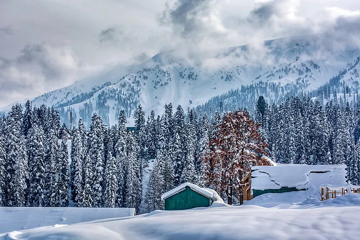 Kashmir Delight – 4 Nights / 5 Days