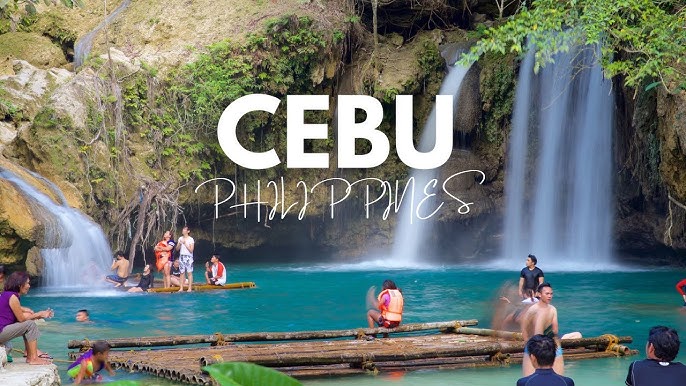 OSLOB WHALE SHARK + KAWASAN  FALLS TOUR