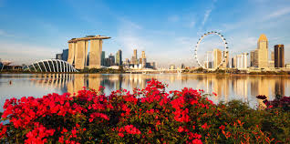 Tropical Lion City Retreat