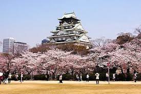 Ultimate Japan Bucket Trip