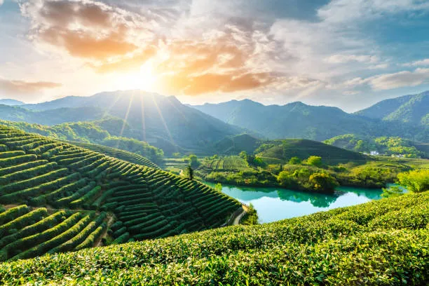 Kerala Paradise