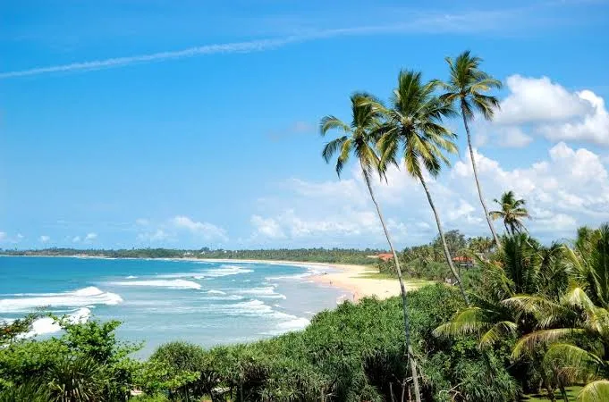 Sri Lankan Getaway
