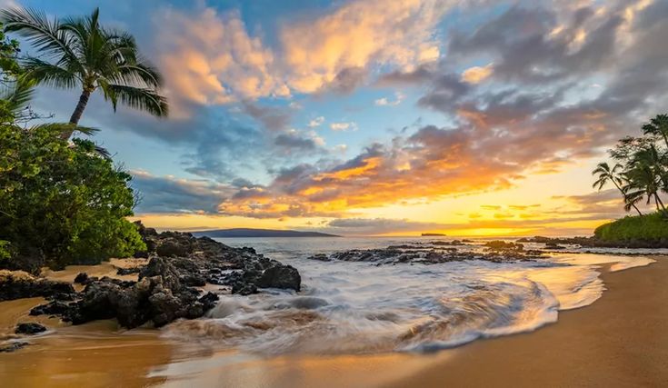 Aloha Hawaii (H4K2M3B2) - 2026