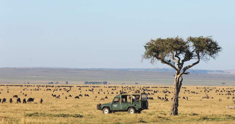 Kenya Classic Safari - 7N 8D