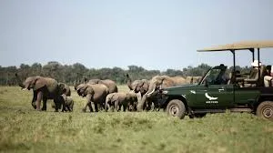 Kenya Memories - 6N 7D