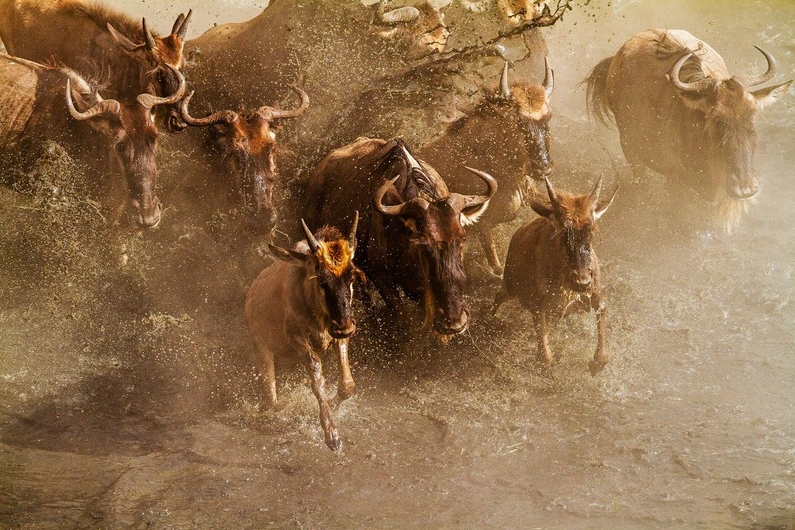 KENYA SUMMER 2026