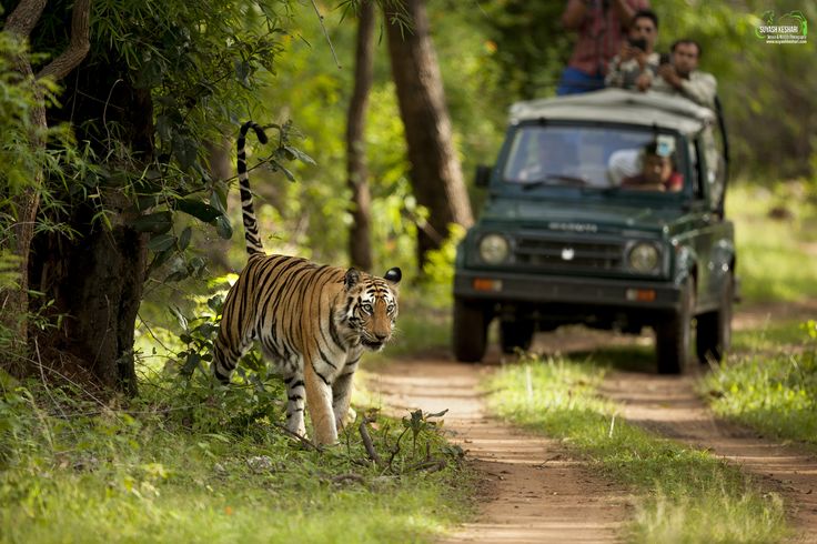 Uttrakhand with Corbett - 6N 7D