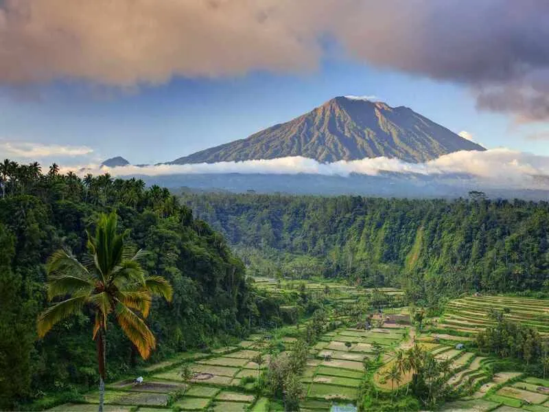 Bali Magic (December 2026)