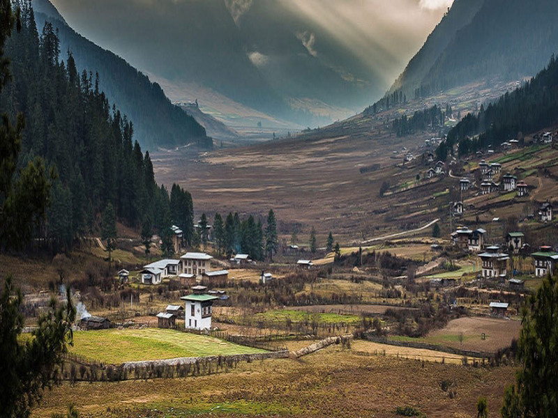 Bhutan Unplugged