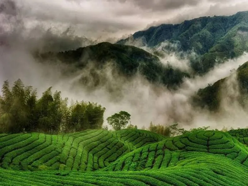 Heritage & Hills Escape ...
