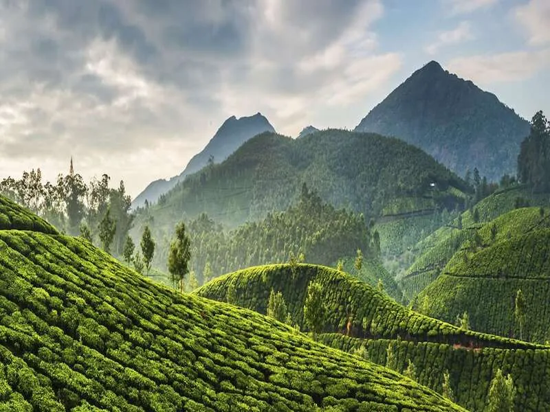 Nature's Best Kerala (Se...