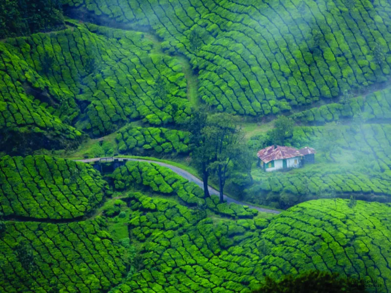 Soul of Kerala (September 2026)
