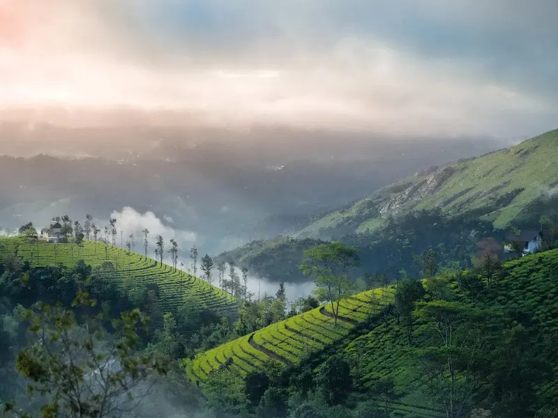The Ultimate Nature Escape (September 2026)