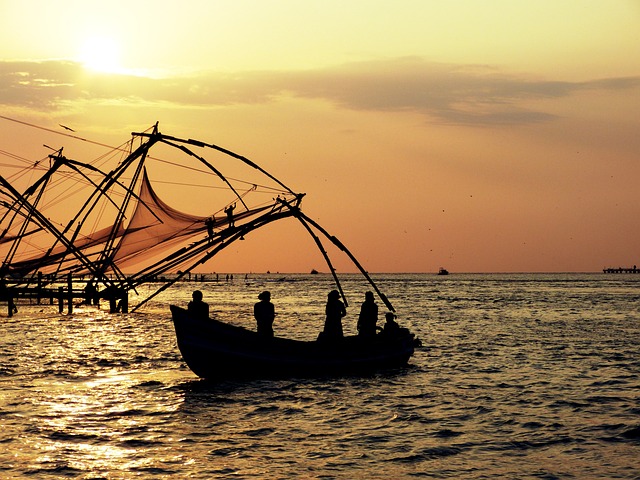 Arrival Cochin