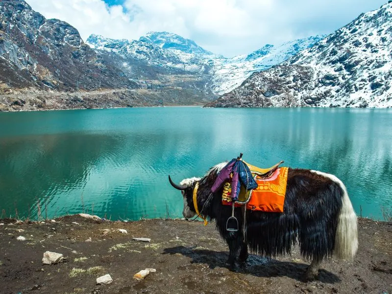 GANGTOK PACKAGE 5N-6D