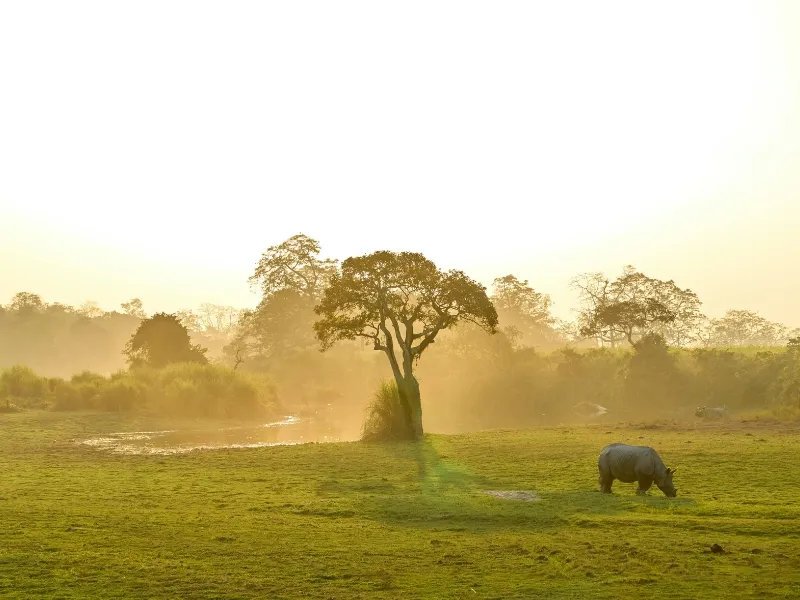 GUWAHATI PACKAGE 6N-7D