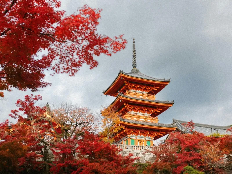 Japan Extravaganza (June...
