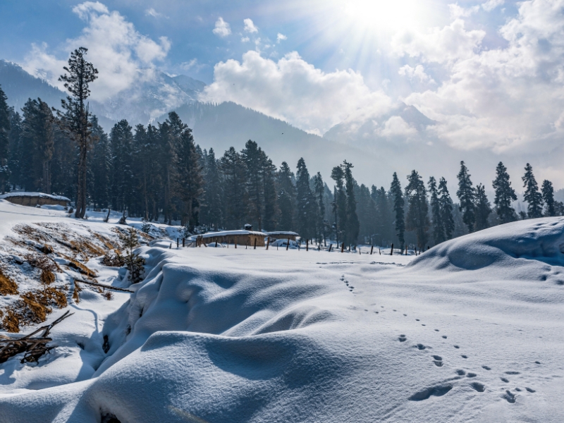 Leh To Leh Bike Trip 7N-8D With Umlingla Pass