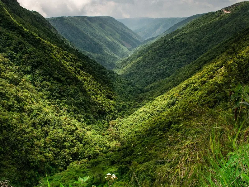 SHILLONG PACKAGE 4N-5D
